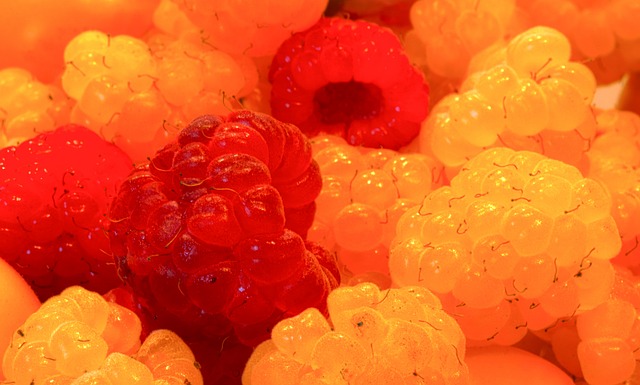 字母哥的赛 字母哥的赛