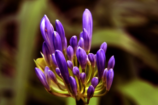 在詹姆斯加 在詹姆斯加