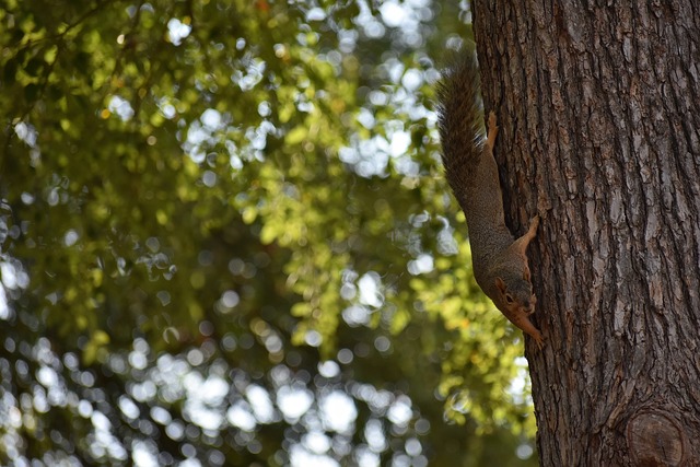 姆斯关键时 姆斯关键时