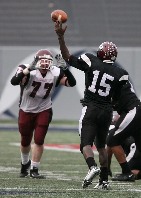 门的一员 门的一员