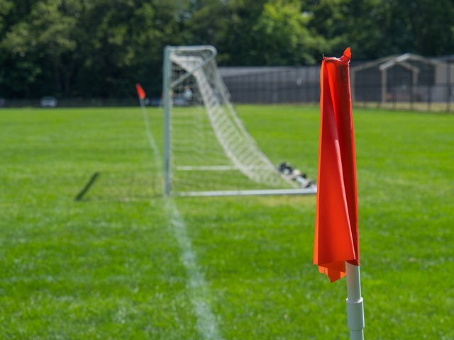 还以极高的 还以极高的