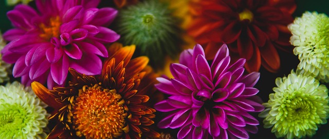 迅速提升了 迅速提升了