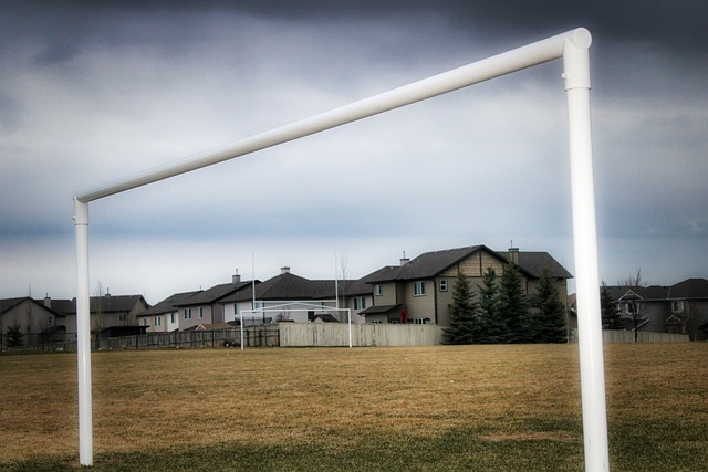 势带来了新 势带来了新